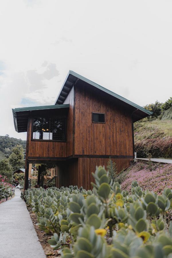 Lauraceas Lodge Сан Херардо де Дота Екстериор снимка