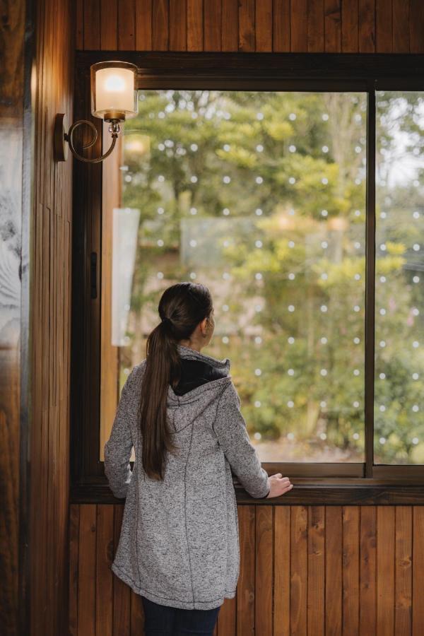 Lauraceas Lodge Сан Херардо де Дота Екстериор снимка