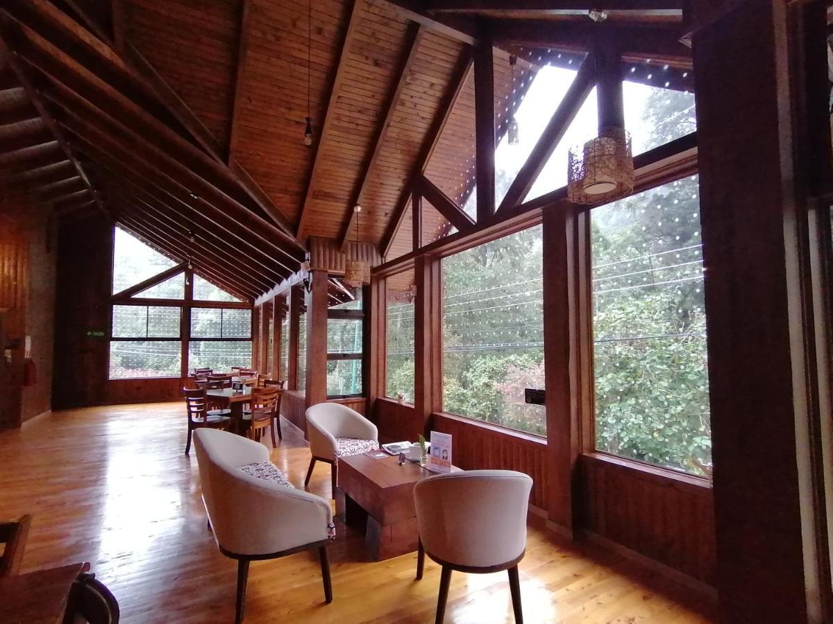 Lauraceas Lodge Сан Херардо де Дота Екстериор снимка